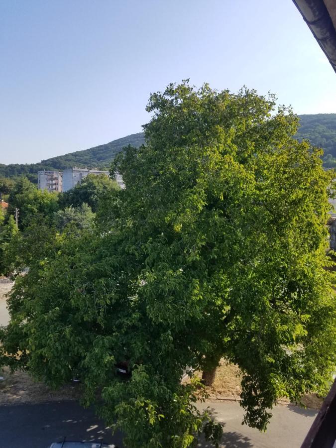 Retro Apartment Malko Tŭrnovo Exteriér fotografie